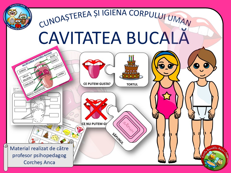 CUNOAȘTEREA ȘI IGIENA CORPULUI UMAN/CAVITATEA BUCALĂ/Material realizat de către profesor psihopedagog Corcheș&nbsp;Anca